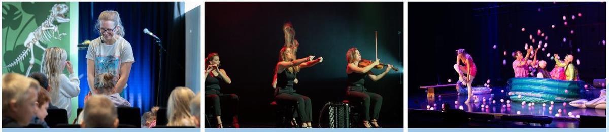 Illustrasjonsbilde (Pynt)3 bilder av ulike DKS oppsetningar - Klikk for stort bilete